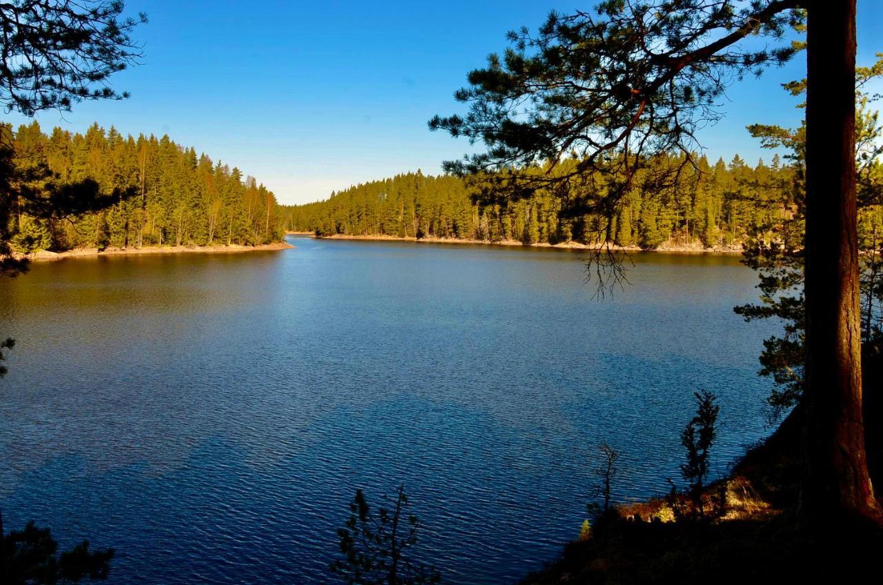 Lake And Forest Hideaway Årjäng Eksteriør billede